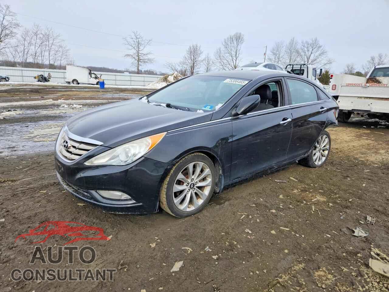 HYUNDAI SONATA 2013 - 5NPEC4AC2DH526099