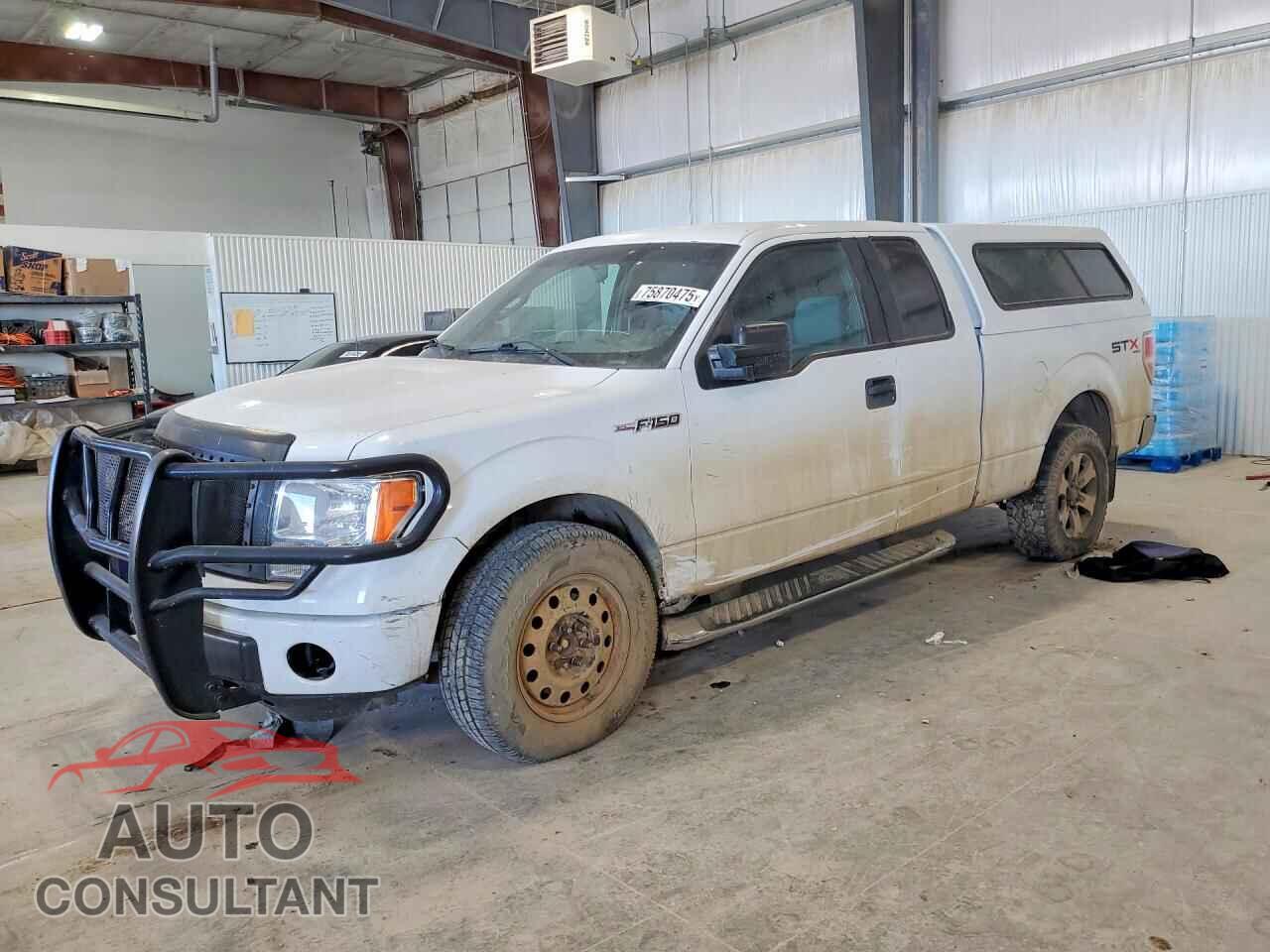 FORD F-150 2012 - 1FTFX1EF8CFB10319