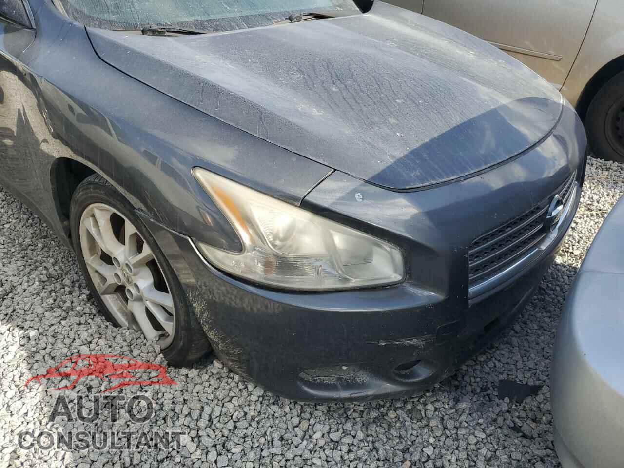 NISSAN MAXIMA 2009 - 1N4AA51E89C824922