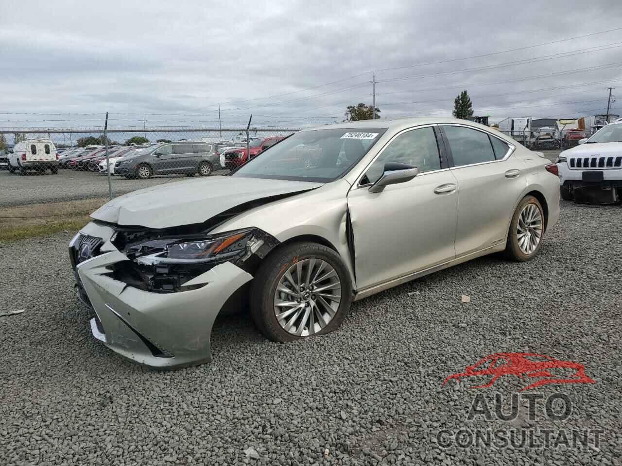 LEXUS ES300 2021 - 58AEA1C10MU012293