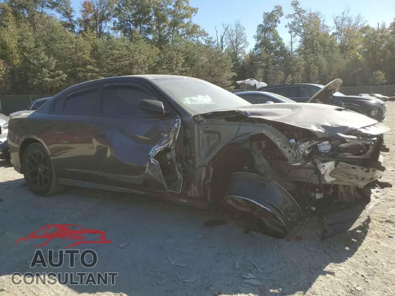 DODGE CHARGER 2020 - 2C3CDXCT2LH248481