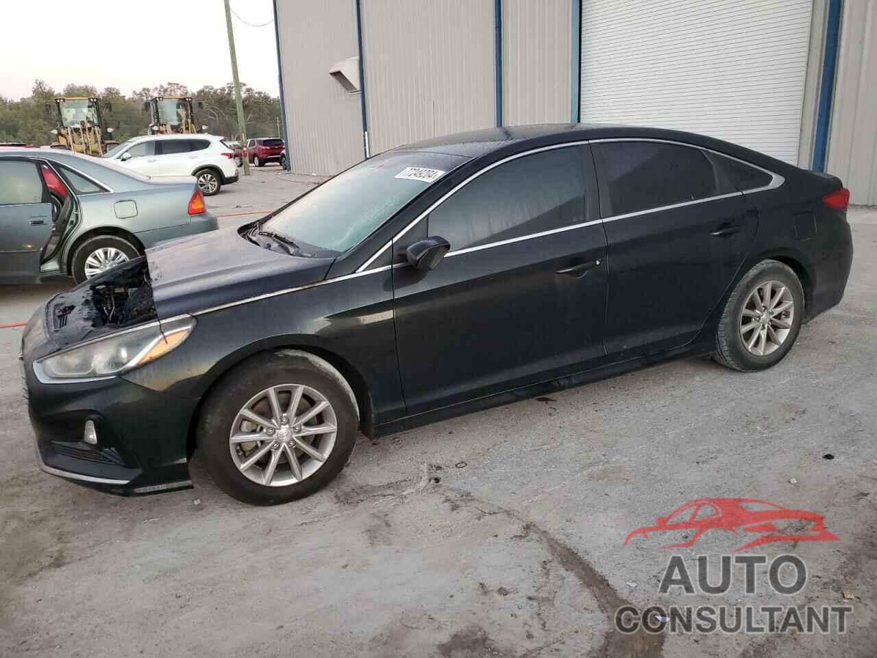 HYUNDAI SONATA 2018 - 5NPE24AFXJH605593