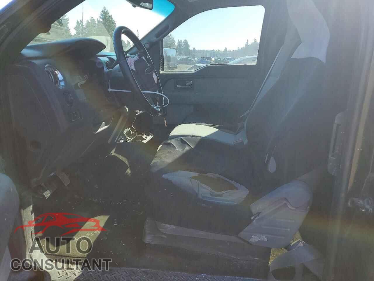 FORD F-150 2013 - 1FTFX1EF1DFD56629
