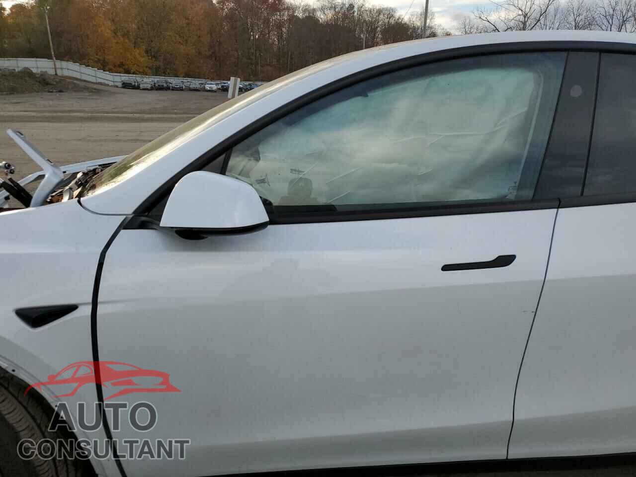 TESLA MODEL Y 2024 - 7SAYGDEE5RF130688