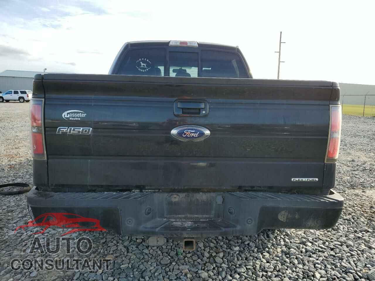 FORD F-150 2013 - 1FTFW1EF4DFD75369