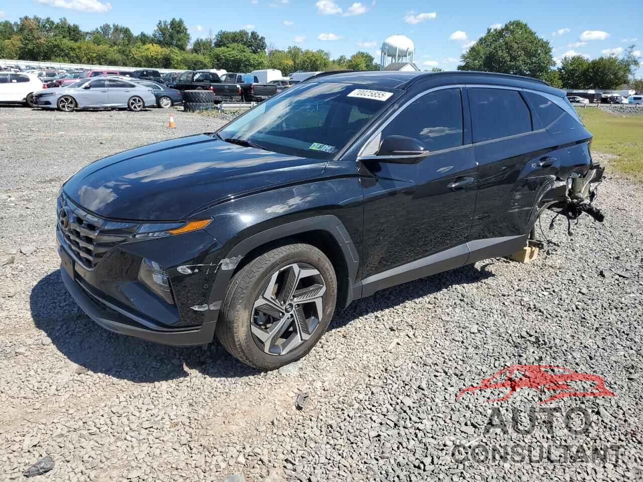 HYUNDAI TUCSON 2022 - 5NMJECAEXNH114595