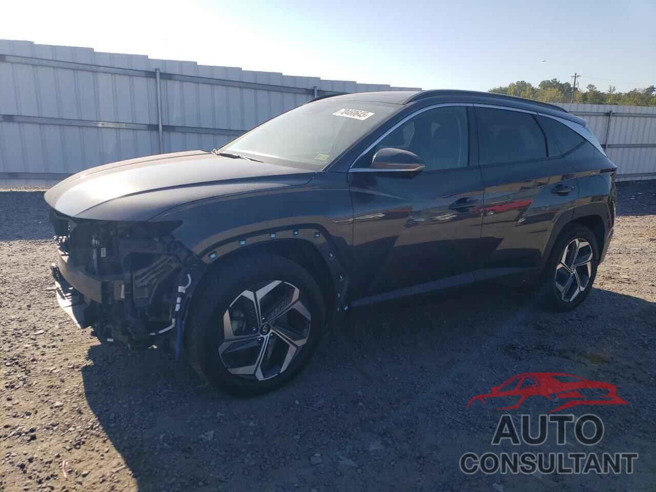 HYUNDAI TUCSON 2024 - 5NMJECDE3RH302747