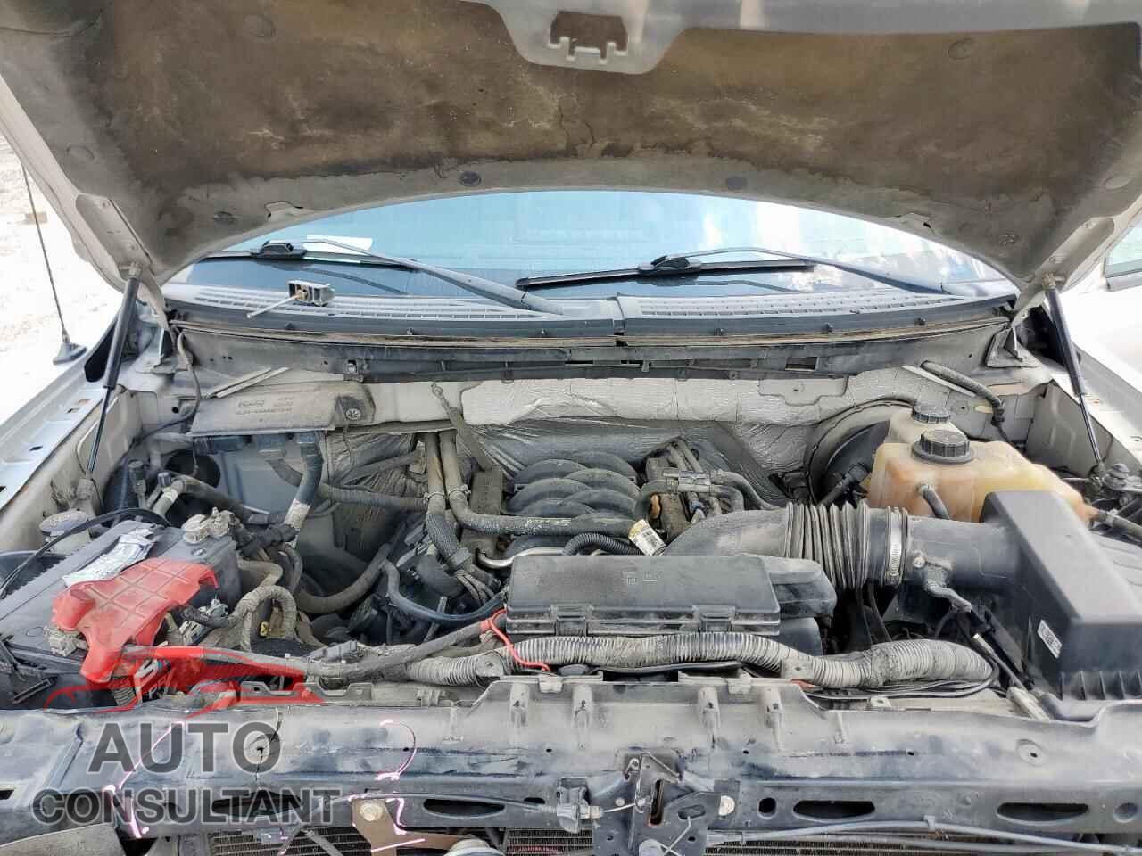 FORD F-150 2012 - 1FTFX1CF3CFC03932