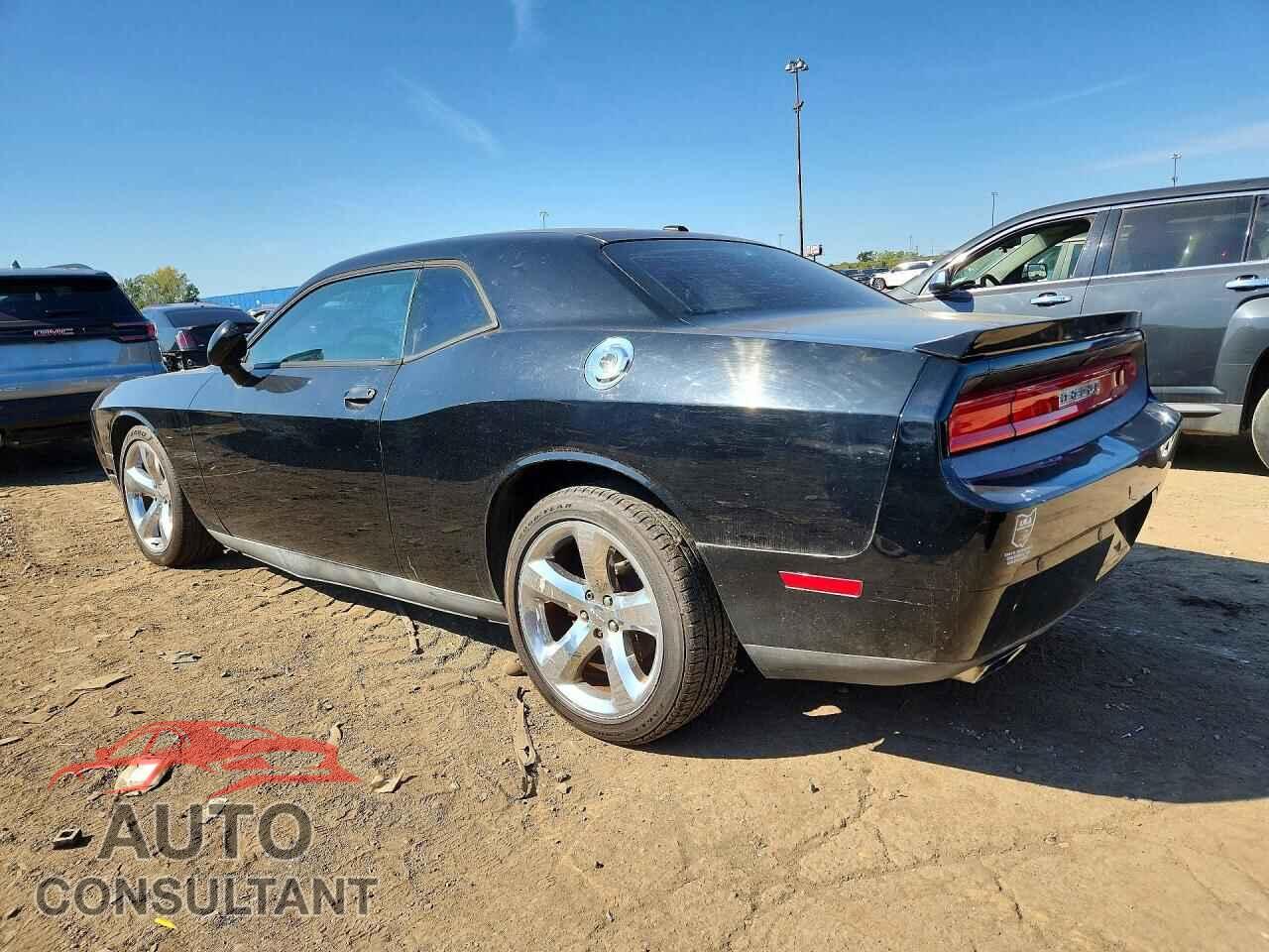 DODGE CHALLENGER 2013 - 2C3CDYAG1DH596611
