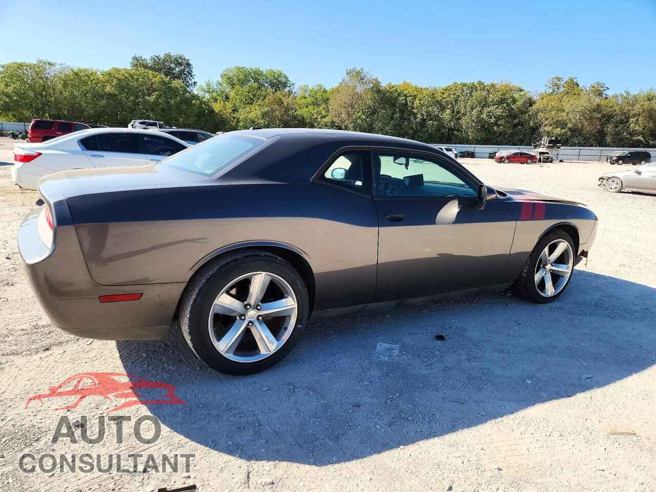 DODGE CHALLENGER 2013 - 2C3CDYAG6DH684330