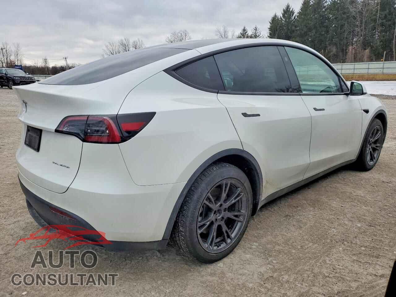 TESLA MODEL Y 2024 - 7SAYGAEE4RF166130