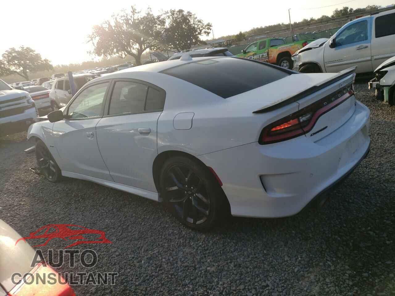 DODGE CHARGER 2019 - 2C3CDXCT1KH570351