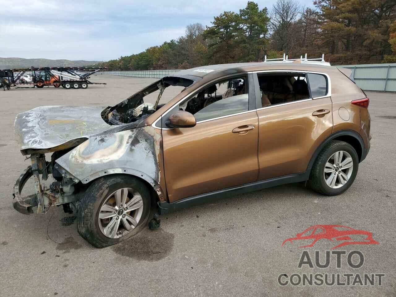 KIA SPORTAGE 2017 - KNDPMCAC6H7115458