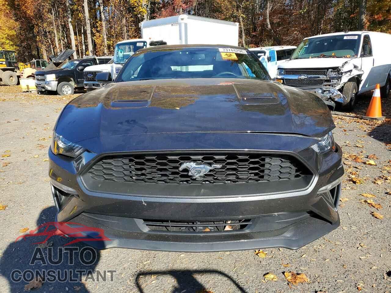 FORD MUSTANG 2019 - 1FA6P8TH2K5111389