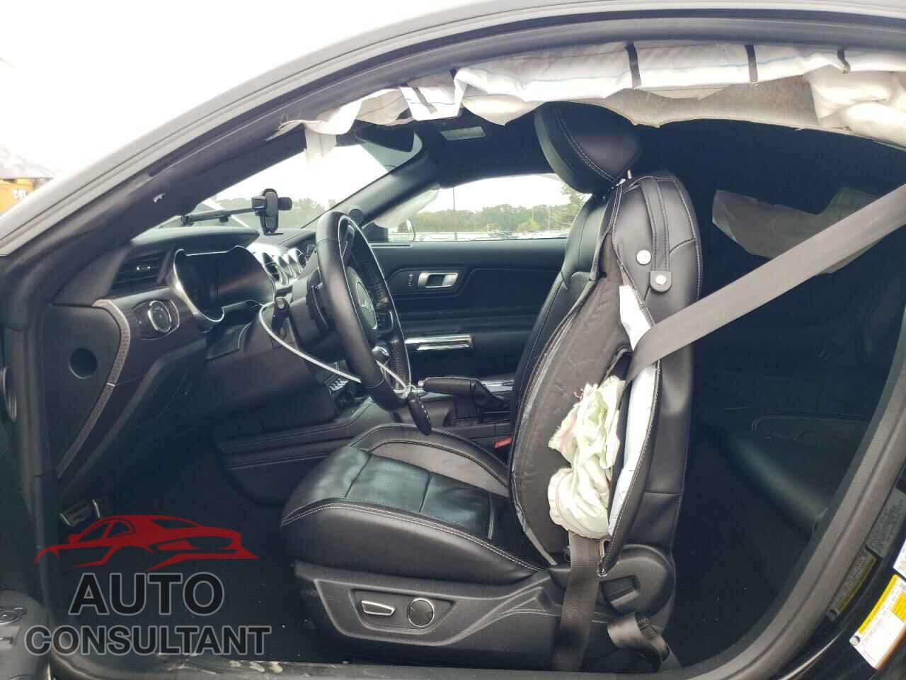 FORD MUSTANG 2019 - 1FA6P8CF1K5202913