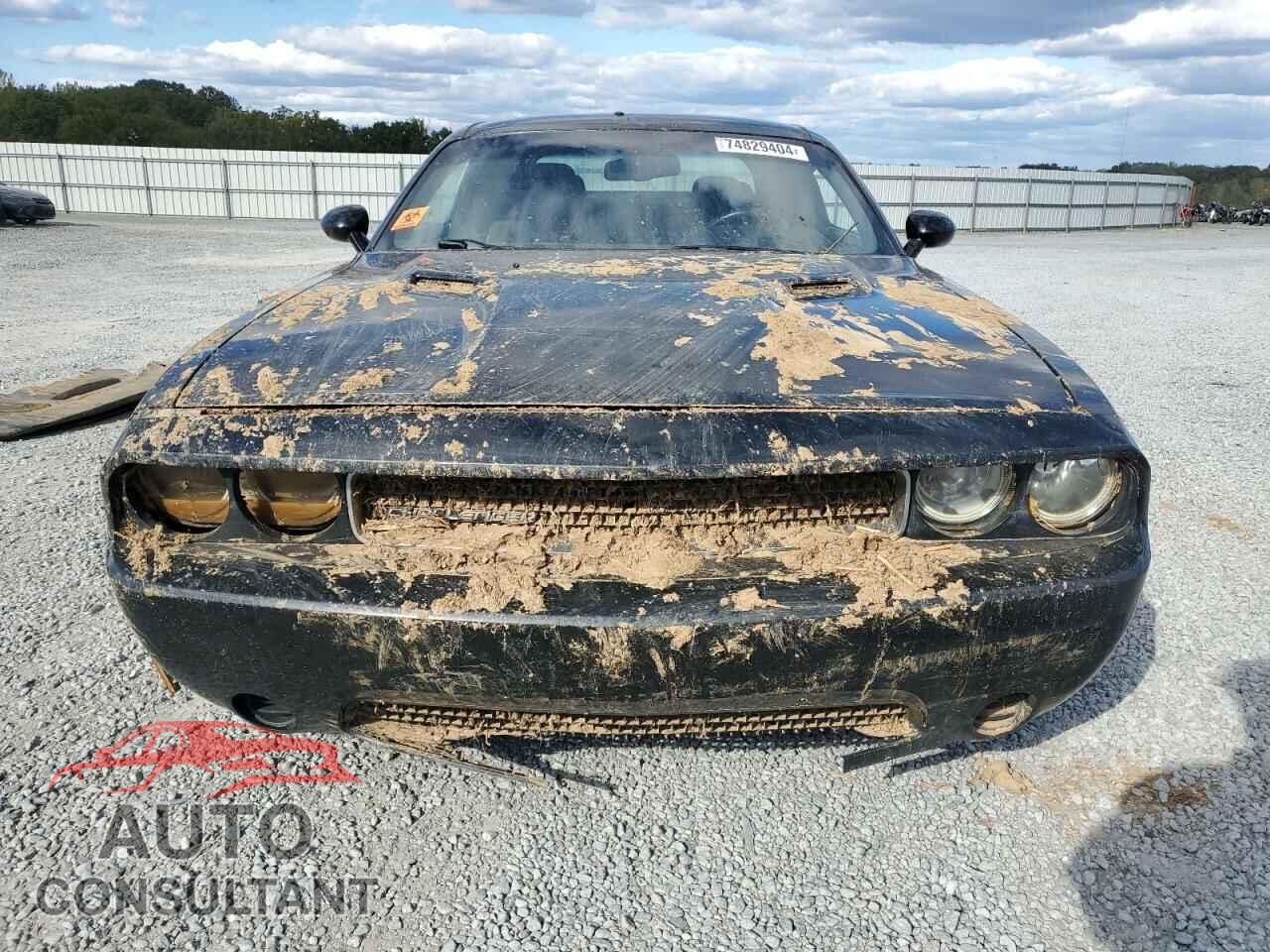 DODGE CHALLENGER 2013 - 2C3CDYAG3DH511607
