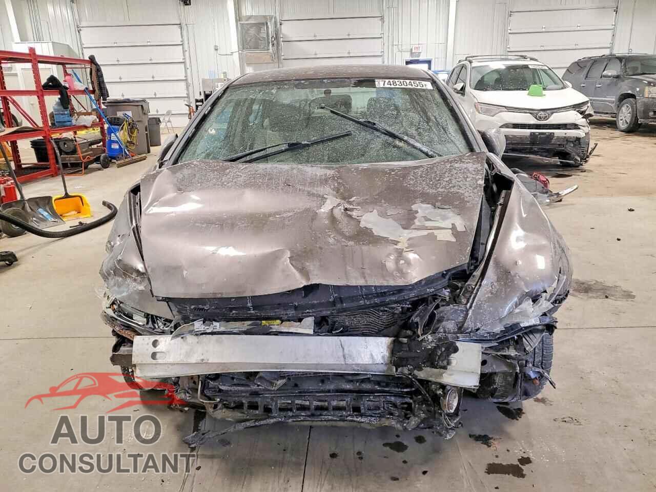 HONDA CIVIC 2009 - 19XFA16559E048887