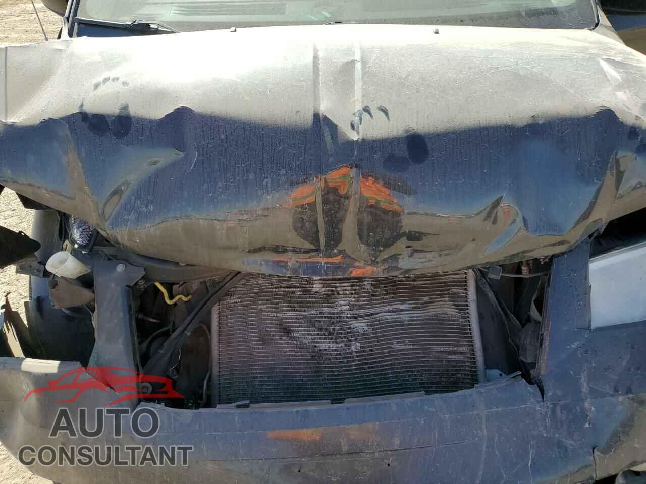 DODGE CARAVAN 2010 - 2D4RN5D10AR119105