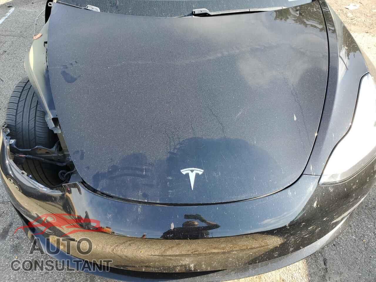 TESLA MODEL 3 2019 - 5YJ3E1EA9KF305121
