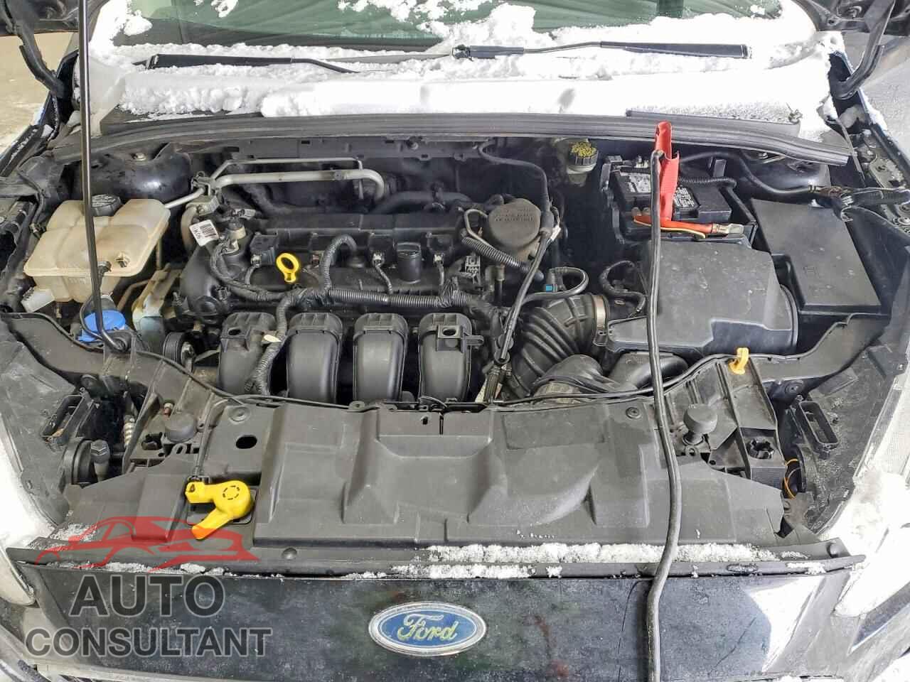 FORD FOCUS 2016 - 1FADP3F29GL229427