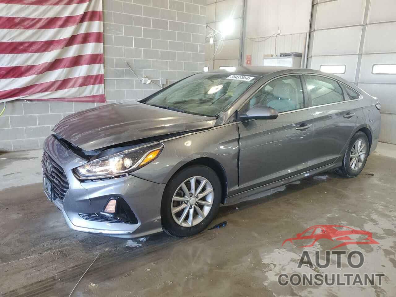 HYUNDAI SONATA 2019 - 5NPE24AF7KH765481