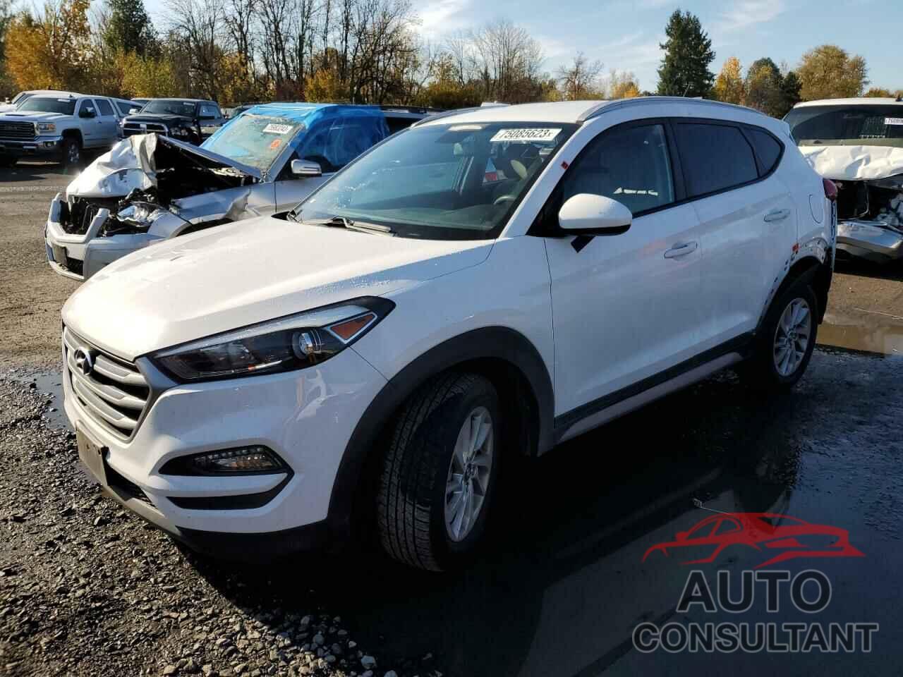 HYUNDAI TUCSON 2017 - KM8J3CA48HU297520