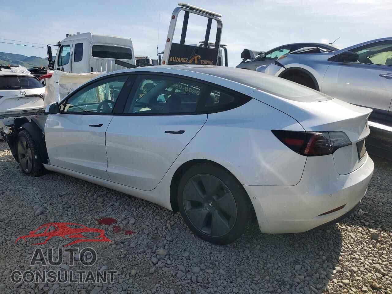 TESLA MODEL 3 2022 - 5YJ3E1EB3NF151843