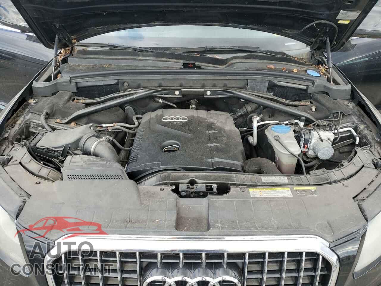 AUDI Q5 2013 - WA1CFAFP8DA062584
