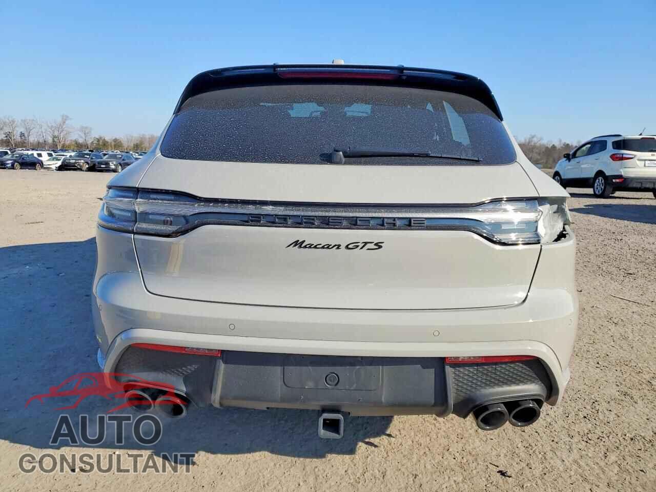 PORSCHE MACAN 2023 - WP1AF2A55PLB57796