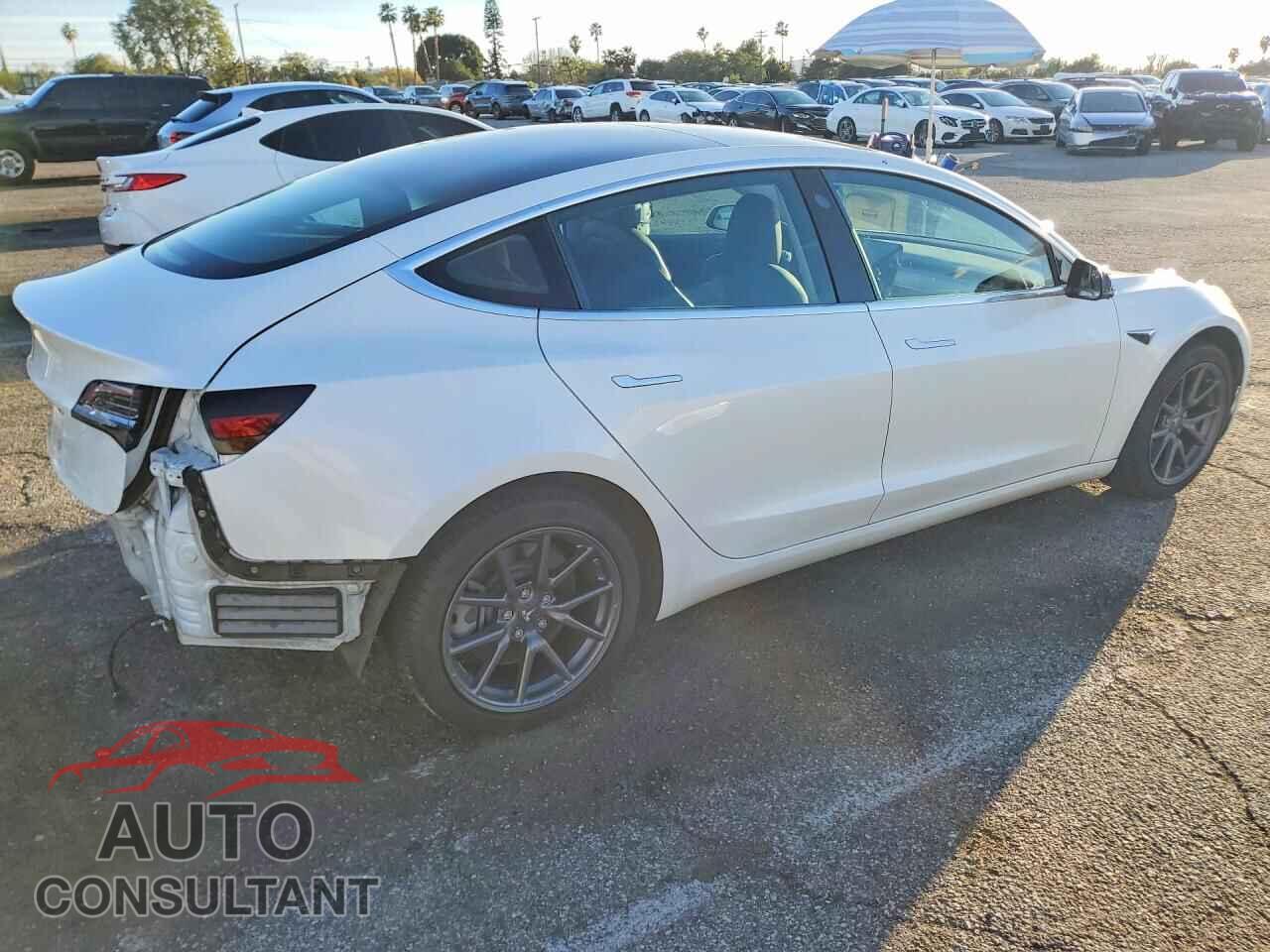 TESLA MODEL 3 2019 - 5YJ3E1EA2KF397155