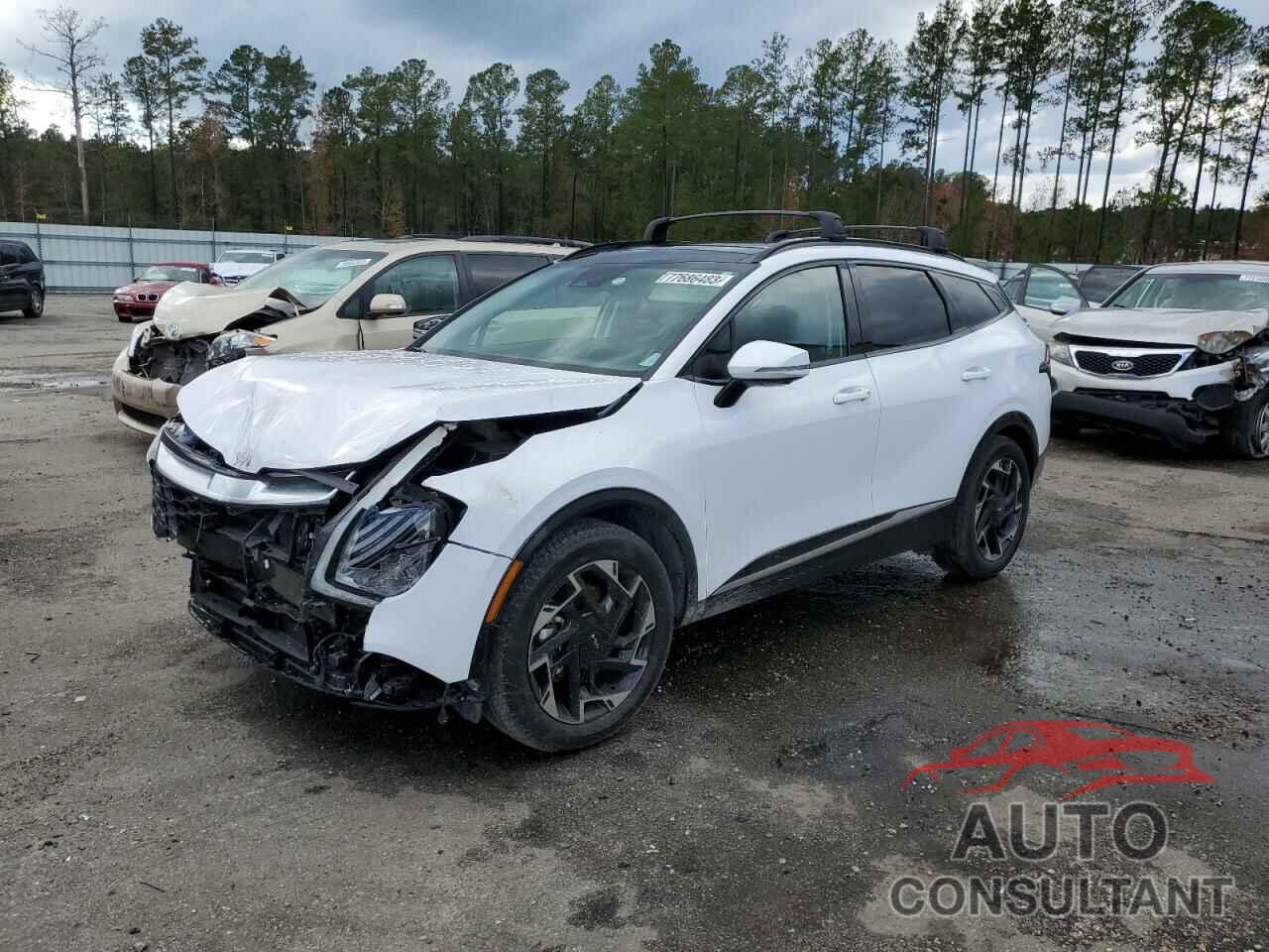 KIA SPORTAGE 2023 - 5XYK53AF7PG102639