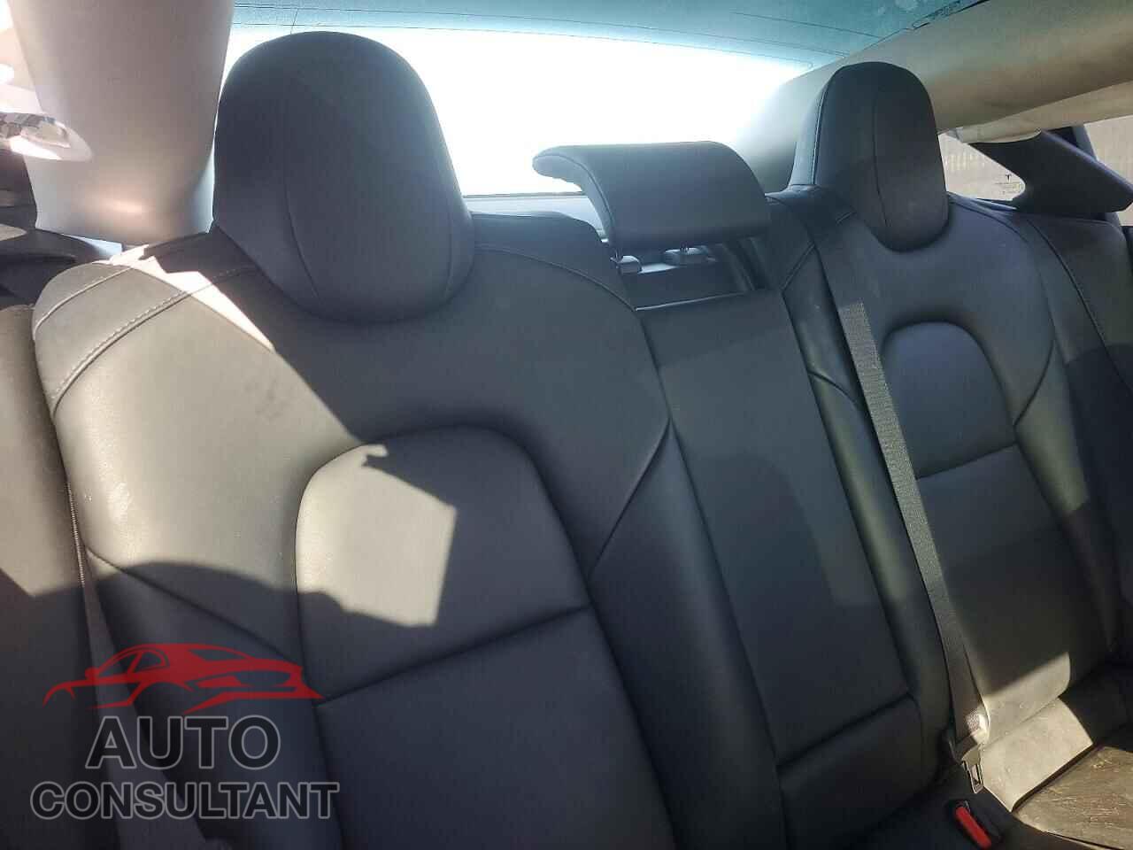 TESLA MODEL 3 2019 - 5YJ3E1EA2KF402094