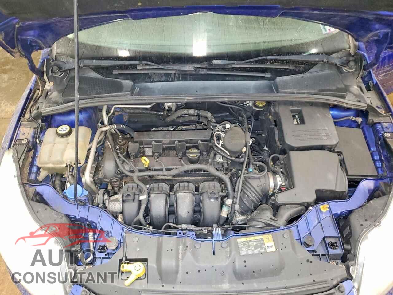 FORD FOCUS 2012 - 1FAHP3F28CL242178