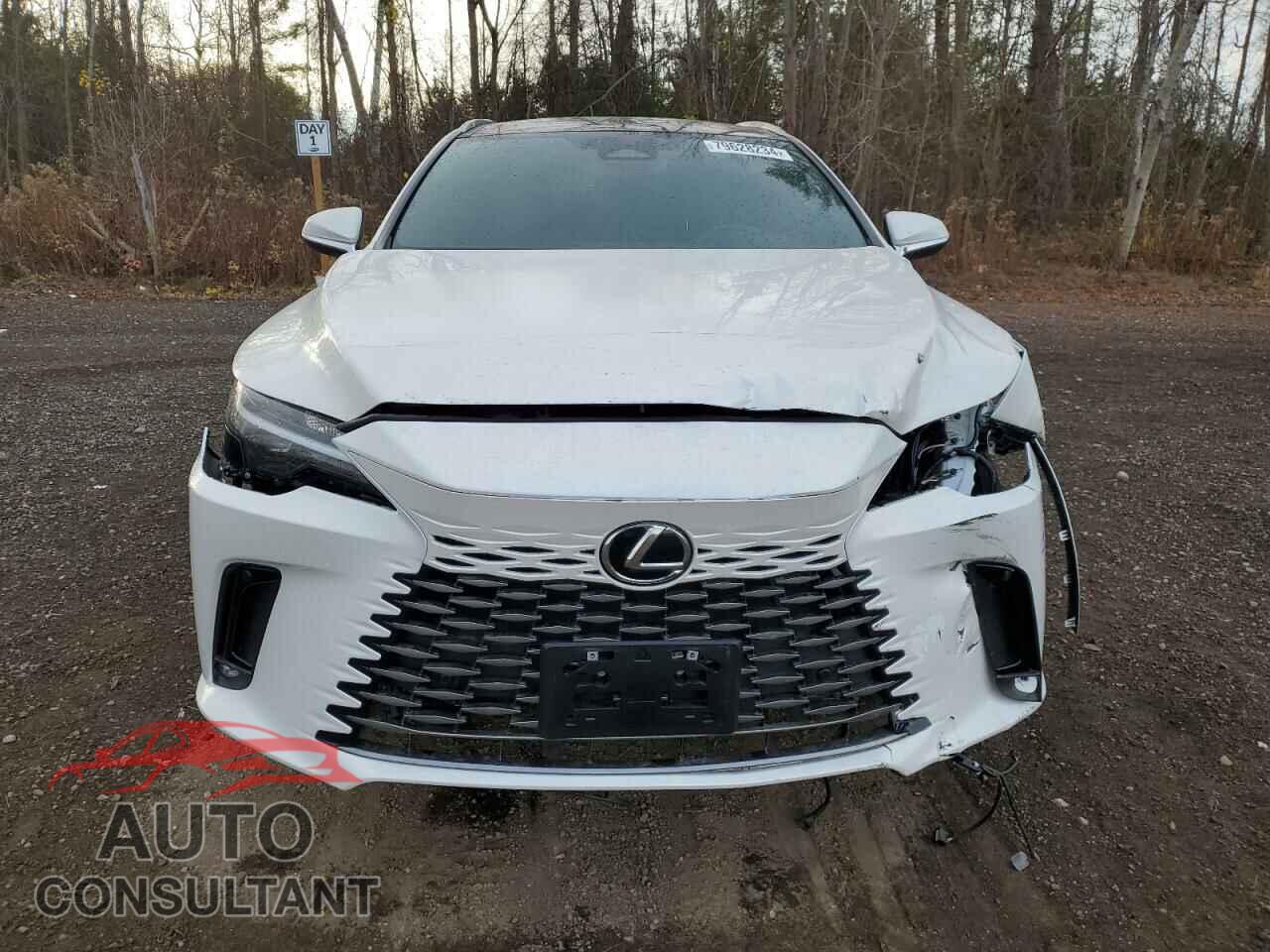 LEXUS RX 350H BA 2024 - 2T2BBMCA9RC036864