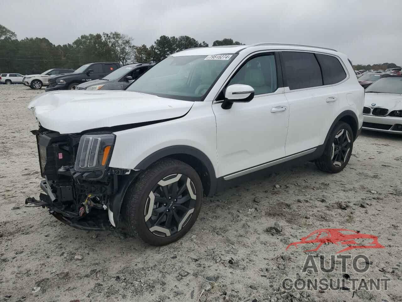 KIA TELLURIDE 2023 - 5XYP6DGC1PG359981