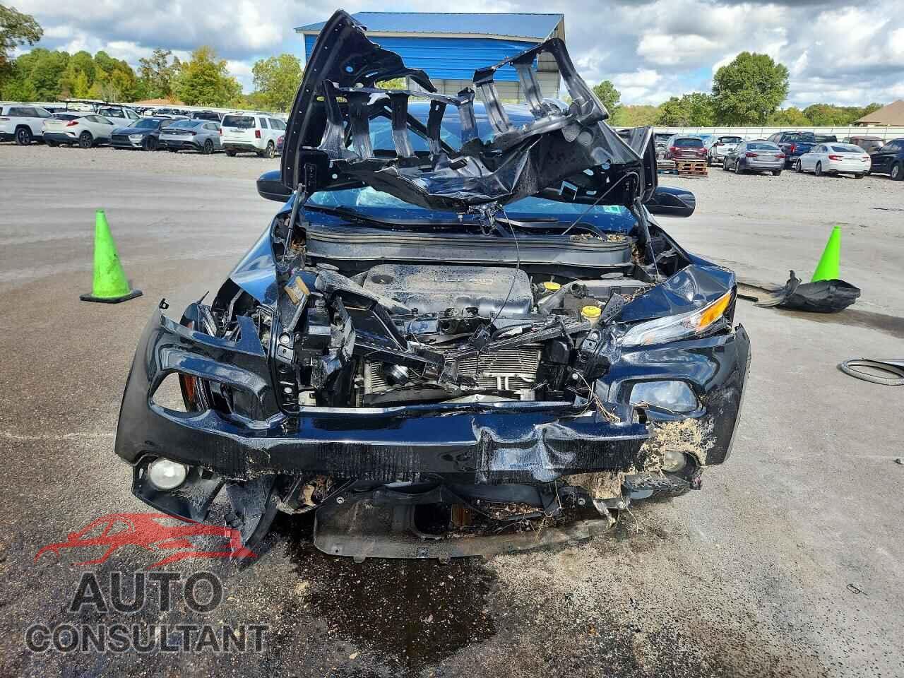 JEEP CHEROKEE 2018 - 1C4PJLCBXJD553596