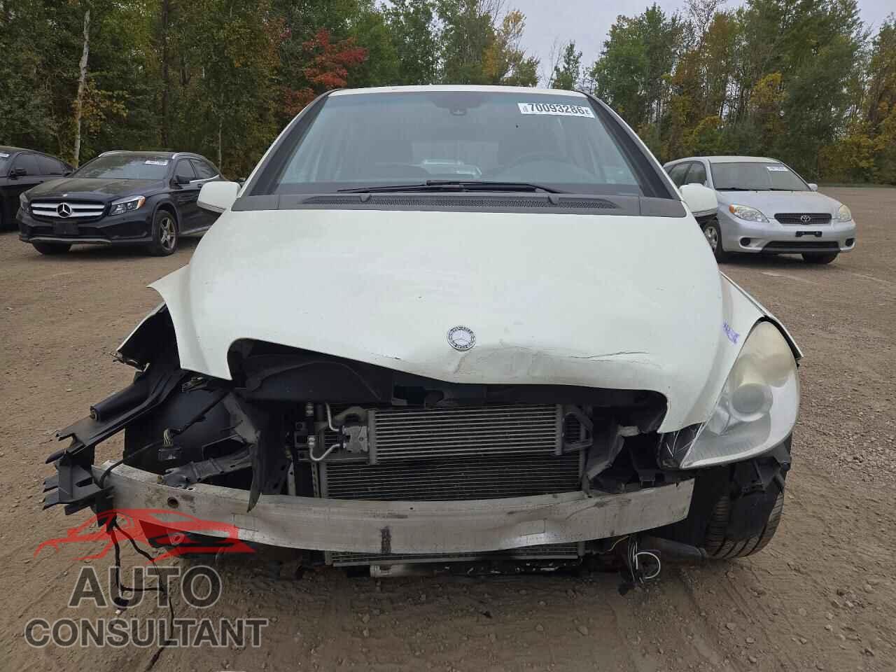 MERCEDES-BENZ B-CLASS 2011 - WDDFH3DB4BJ740248