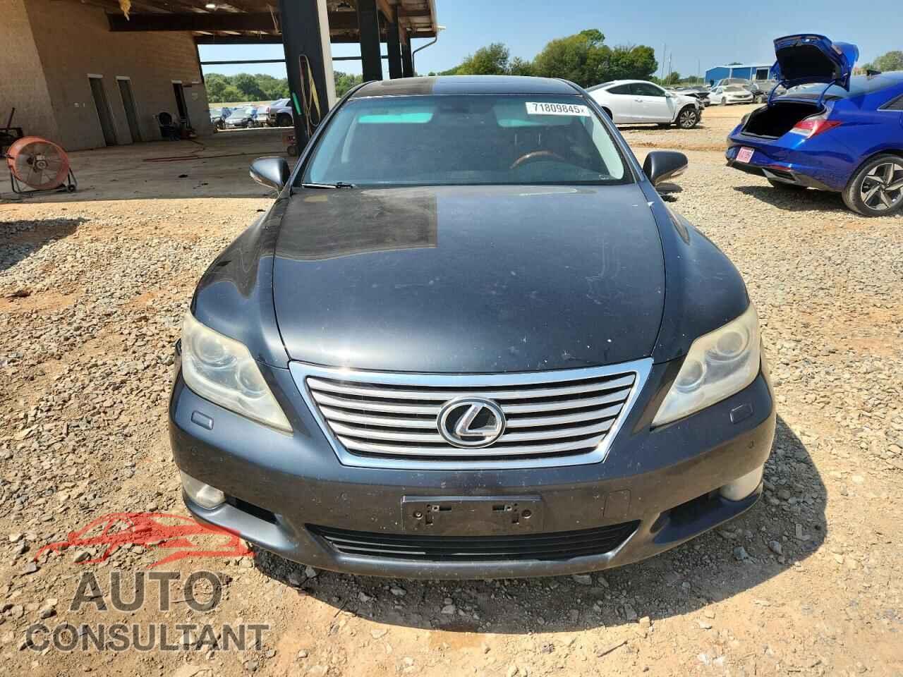 LEXUS LS460 2010 - JTHBL5EF4A5099466