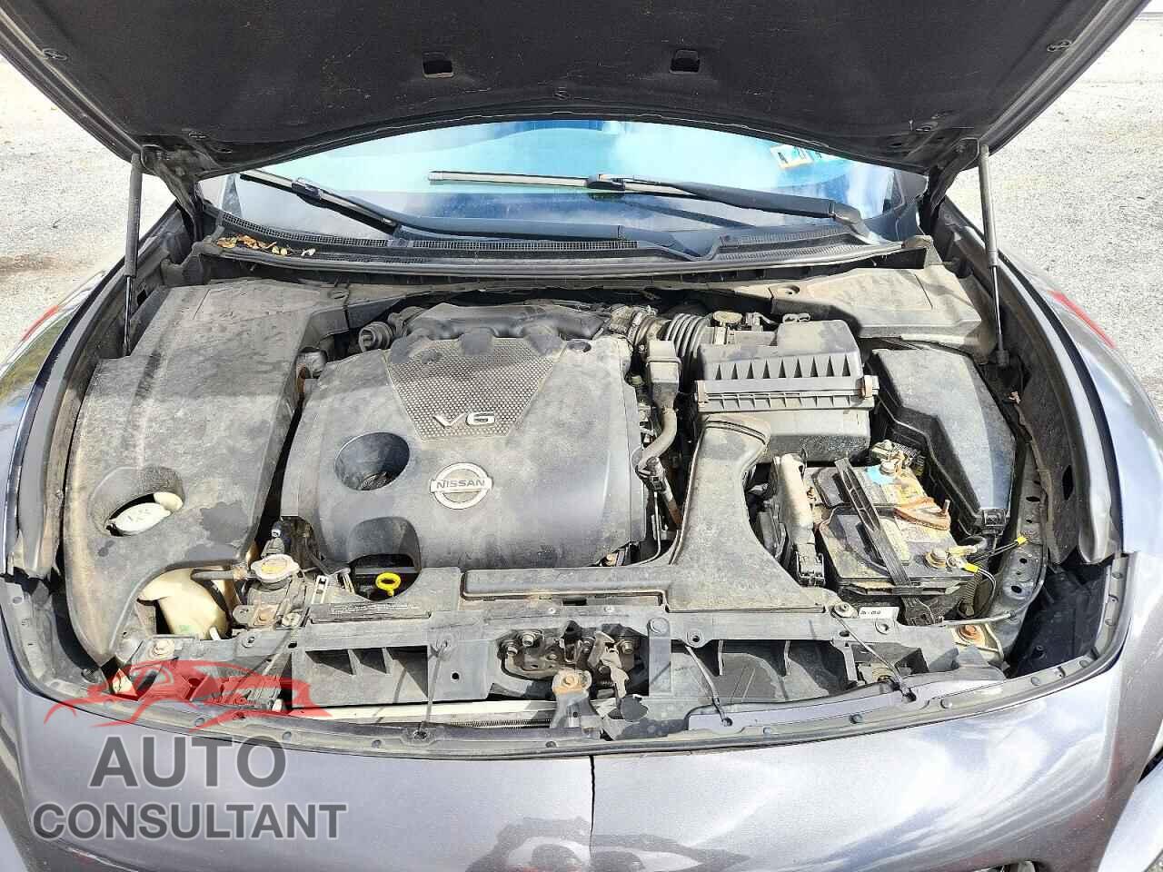 NISSAN MAXIMA 2013 - 1N4AA5AP5DC842417