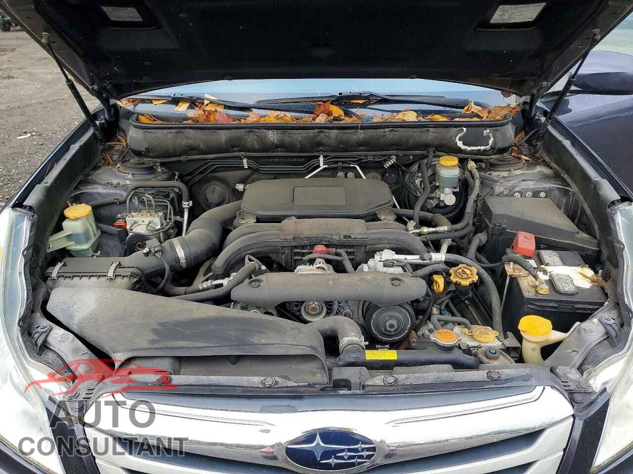 SUBARU OUTBACK 2010 - 4S4BRBBC8A3328828