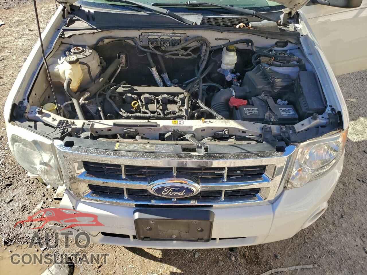 FORD ESCAPE 2010 - 1FMCU0D7XAKC16965