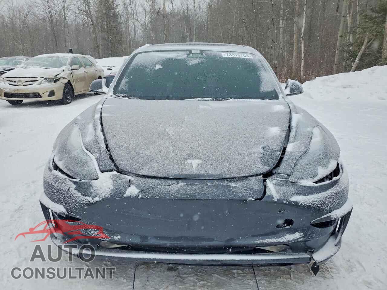 TESLA MODEL 3 2023 - LRW3E1EBXPC851730