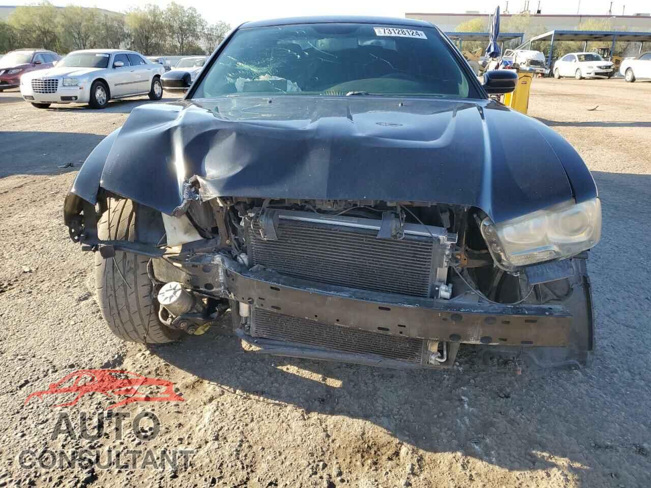 DODGE CHARGER 2014 - 2C3CDXCT2EH232316