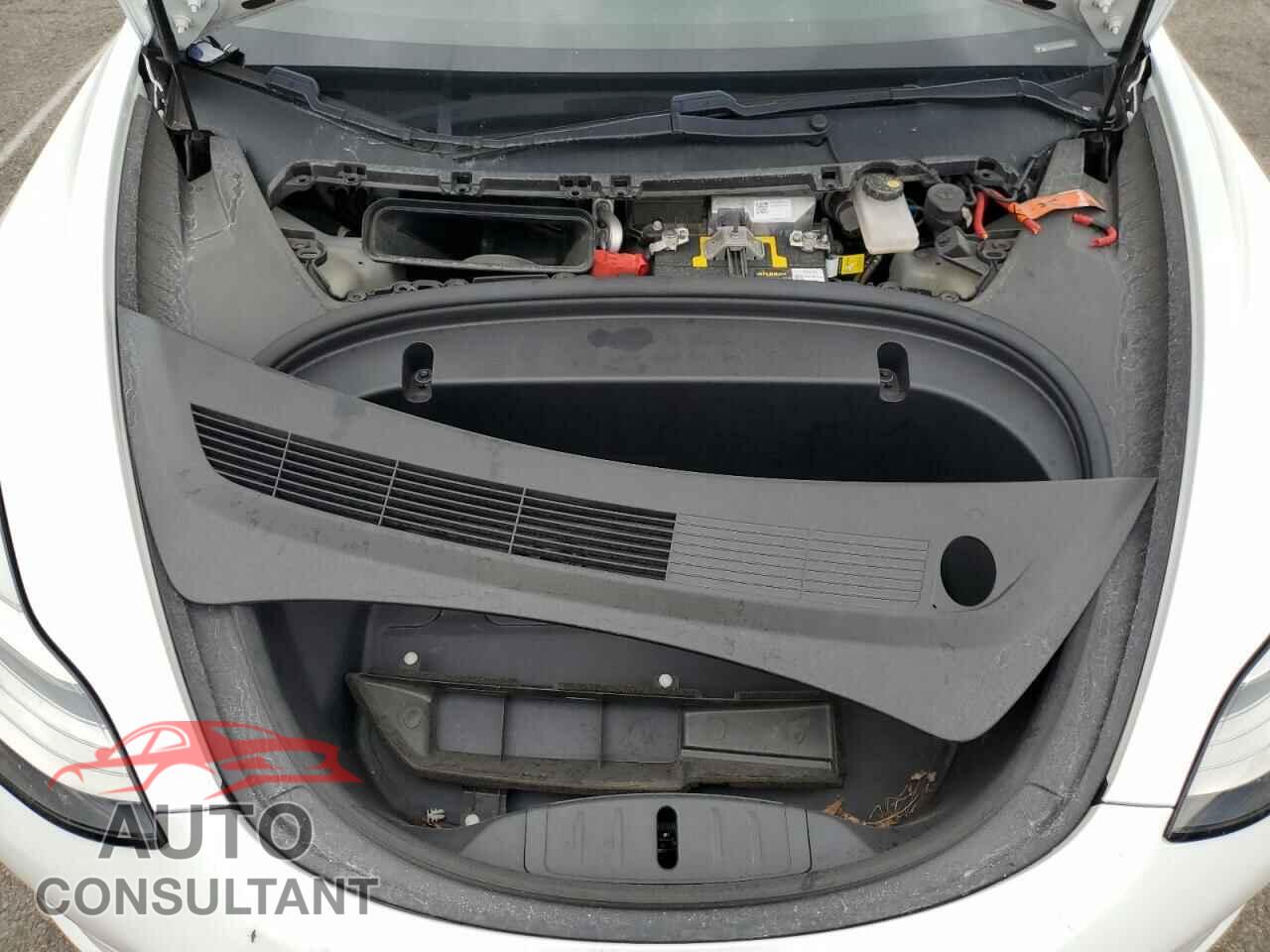 TESLA MODEL 3 2020 - 5YJ3E1EA0LF509601