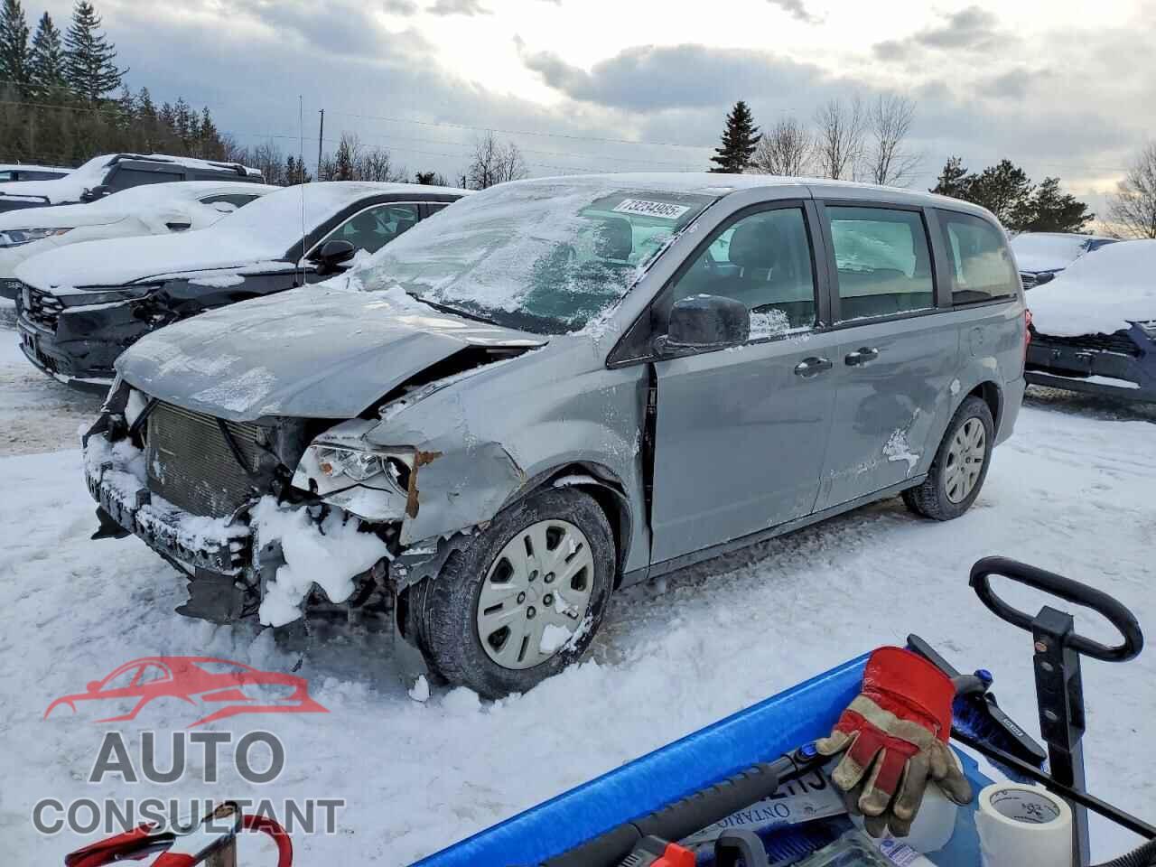 DODGE CARAVAN 2019 - 2C4RDGBG1KR521560