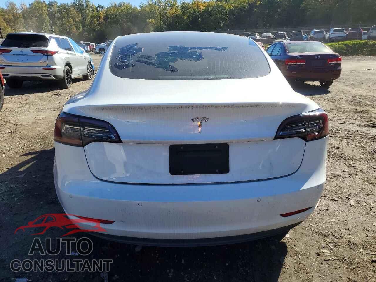 TESLA MODEL 3 2019 - 5YJ3E1EA3KF407613