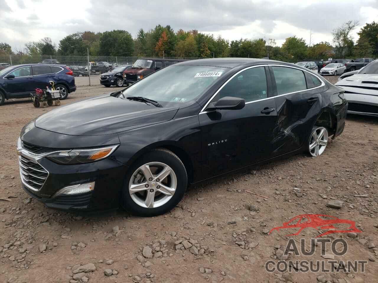 CHEVROLET MALIBU 2019 - 1G1ZB5ST2KF120302