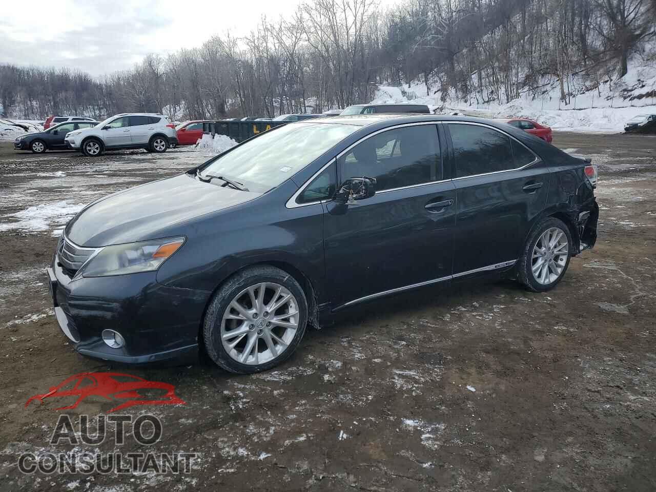 LEXUS HS 2010 - JTHBB1BA1A2020440
