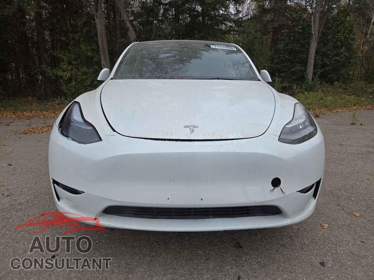 TESLA MODEL Y 2023 - 7SAYGDEEXPF587557