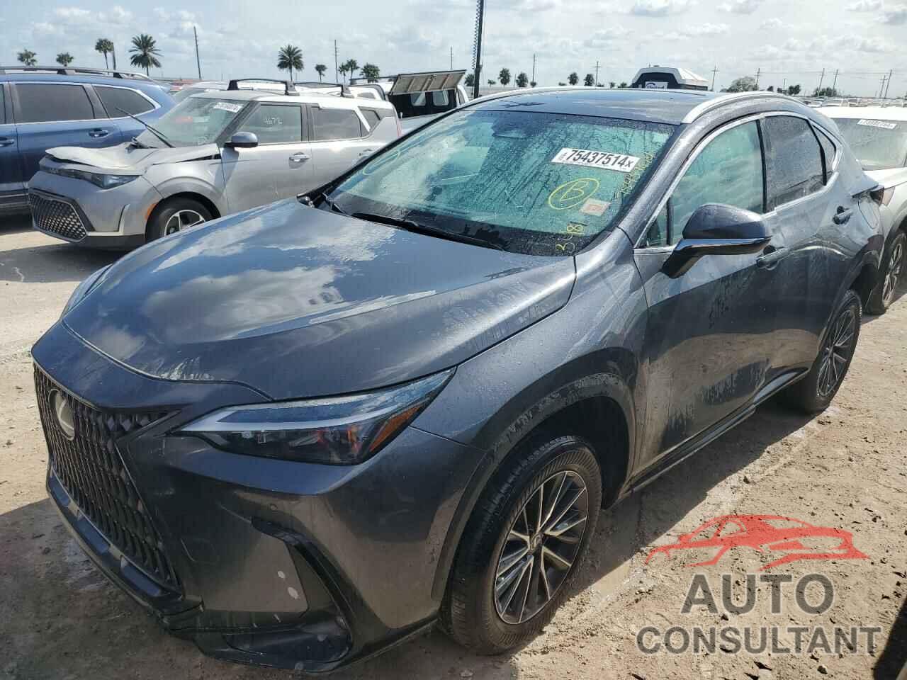 LEXUS NX 250 PRE 2024 - 2T2GDCAZ2RC007063